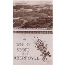 Wee Bottle Of Scotch from Aberfoyle Bottle Real Photo Postcard