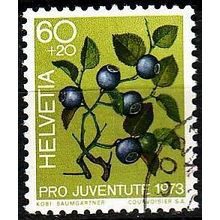 SCHWEIZ SWITZERLAND [1973] MiNr 1016 ( O/used ) Pro Juventute