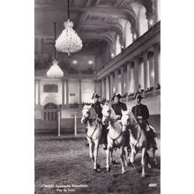 Wien Spanische Reltschule Spanish Riding School Austria Postcard
