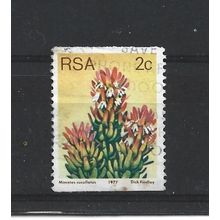 SouthAfrica.SG432 2c Mimetes Cucullatus.Fine Used.Sep25r
