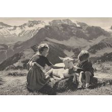 Swiss Children Playing With Goat Antique Switzerland Postcard