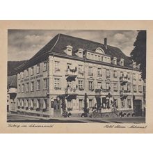 Triberg Im Schwarzwald Hotel Lowen National German Postcard