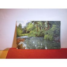 THE WANDLE near HADBRIDGE, Surrey. used antique postcard 1905 pm =