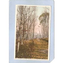 MA Berkshire Hills A Roadway In Autumn Berkshire Hills ma_box1~192