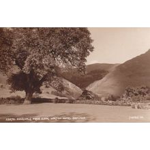 Walton Hotel in Izaak Dovedale Derbyshire Grounds Antique Postcard