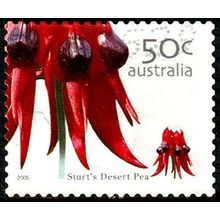 Australia 2005 Flower 50c Used P&S Stamp 12.5 Perf. Sturt's Desert Pea