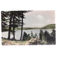 AM SORPESEE, GERMANY unused vintage postcard =