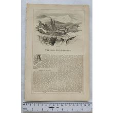1842 The Dog-field Sports No. 2