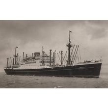 SS Noordam Steamer Ship Holland America Line RPC Postcard