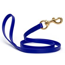 Dog Pet Leash with Brass Hardware W 5/8” L 4 FT Blueberry Royal