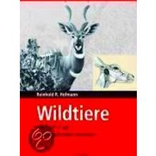 Wildtiere In Bildern Zur Vergleichenden Anatomie