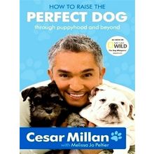 How to Raise the Perfect dog by Cesar Millan