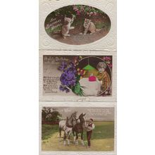 Horse Kitten Tugging Tree Pink Cake 3x Greeting RPC Postcard s