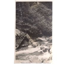 EGTON BRIDGE, Scarborough, Yorkshire unused postcard c.1900 =