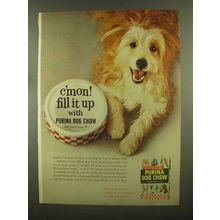 1965 Purina Dog Chow Ad - C'Mon Fill It Up