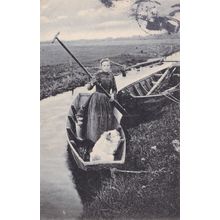 German Lady Rowing Boat With Dog Antique 1905 Postcard