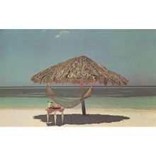 Cat Stevens New Album Foreigner Island Records Music Postcard