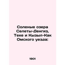 Salty lakes Seleti-Dengiz, Teke and Kyzyl-Kak of Omsk county: In Russian (ask us