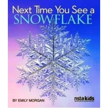Next Time You See a Snowflake - Emily Morgan