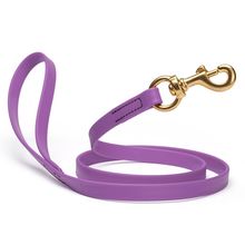 Dog Pet Leash with Brass Hardware W 3/4” L 4 FT Amethyst Purple