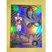 2023 Chronicles Illusions WWE Bronze #268 1-2-3 Kid
