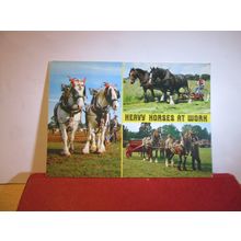 multiview, HEAVY HORSES AT WORK unused postcard by J Salmon =