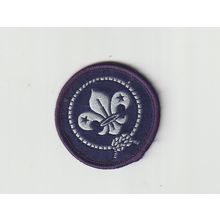 Scout Membership Badge - Non UK?? - Black Back - Used (BY349)