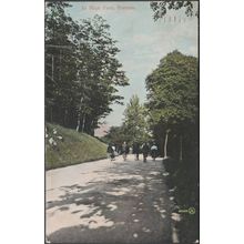 In High Park, Toronto, Ontario, 1906 - Valentine's Postcard