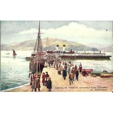 Turbine Steamers Ltd TS KING EDWARD Tuck Oilette Postcard (7553)