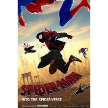 Spider-Man Into The Spider-Verse 7 Poster Canvas Movie Film Print A0 A1 A2 A3 A4