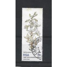 SouthAfrica.SG498 5c Calanthe natalensis.Fine Used.Sep25h