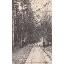 Mile Drive Sanatorium Midhurst Sussex Happy Christmas Postcard