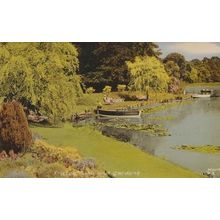 Fritton Lake Gardens Suffolk Lovers In Rowing Sailing Boat Boats Rare Postcard