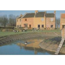 Fleggburgh Norfolk Ducks Lake Village River View Postcard