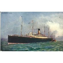 White Star Line SS CYMRIC Tuck Oilette Postcard (6228)