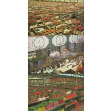 Amsterdam Holland World Flower Centre Displays Auction Rooms 3x Postcard s