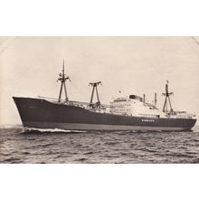 MS Minnesota Swedish America Line DFDS Ship RPC Postcard