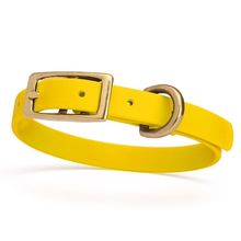 Dog Pet Collar with Brass Hardware Size XS W 1/2” L 9” - 12” Lemon Yellow