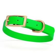 Dog Pet Collar with Brass Hardware Size S W 5/8” L 12” - 15” Tropical Green