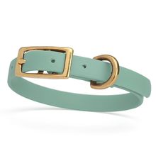 Dog Pet Collar with Brass Hardware Size XS W 1/2” L 9” - 12” Sage Green