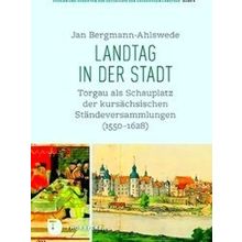 Landtag In Der Stadt