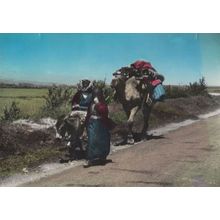 Bedouin Camping Lebanon 1950s Postcard