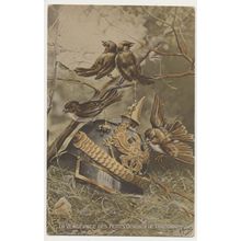La Vengeance Des Petits Oiseaux de L'Argonne Postcard WW1 G Morinet Patriotic