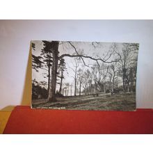 LOCH LOMOND PARK, SCOTLAND unused antique postcard by Corporation of Glasgow =
