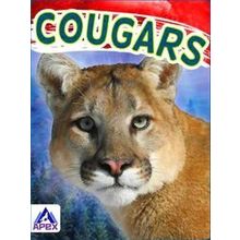 Wild Cats