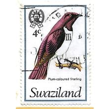 1976/1978 SG 239 - fine used (o) - BIRD