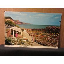 camelia walk, CONNAUGHT GARDENS, SIDMOUTH, DEVON unused postcard E T W Dennis =