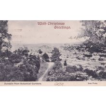 Dunedin Auckland New Zealand From Botanical Gardens Christmas Postcard