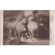 At The Rack Charles Clair French Salon Sheep Old Painting Postcard