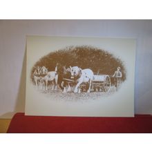 SEED DRILLING, Exmoor unused postcard by Vikki Collard dated 1982 FARMING =